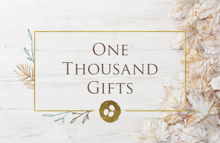 One Thousand Gifts: Attitude of Gratitude