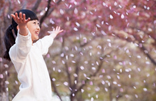 Girl throwing cherry blossom petals in the air