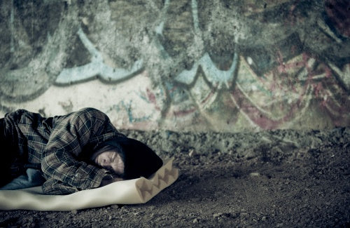 Homeless Young Man Sleeping,book cover homeless at harvard