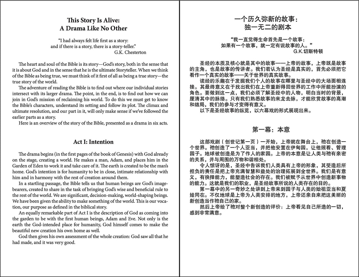 CCB (Simplified Script), NIV, Chinese/English Bilingual Bible