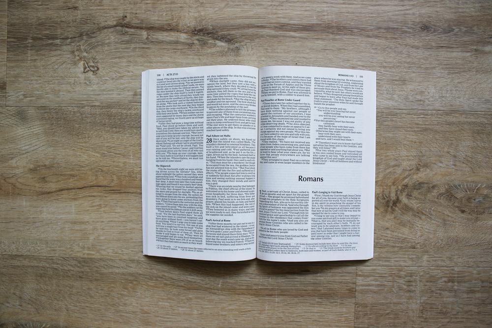 NIV, Outreach New Testament for Kids, Paperback