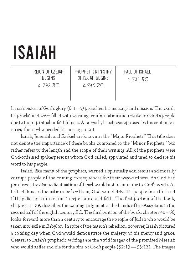 The Jesus Bible Journal, Isaiah, NIV, Paperback, Comfort Print