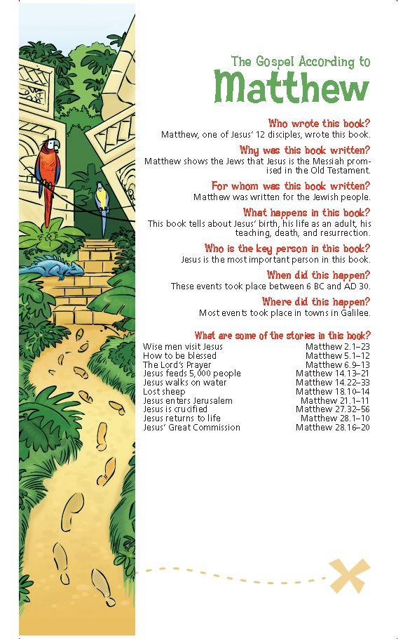 NRSV, Adventure Bible