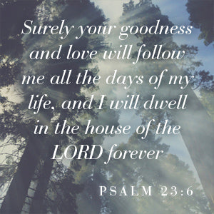 Your Goodness and Love Will Follow