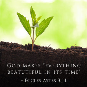 Charles Dickens Devotional 9781400319541,Ecclesiastes 3:11 God Makes Everything Beautiful In Its Time