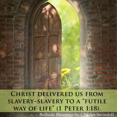 1 Peter 1:18 Christ delivered us from slavery--slavery from a futile way of life.