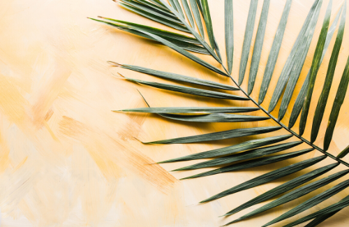 Palm Sunday: The Loving Act