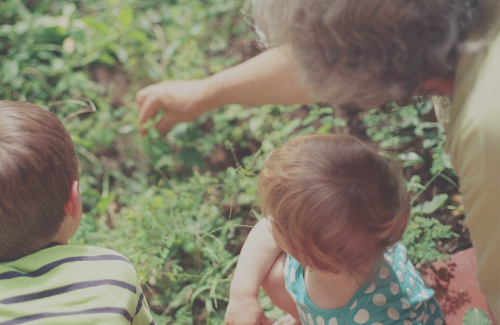 God's Words of Life on Grandchildren