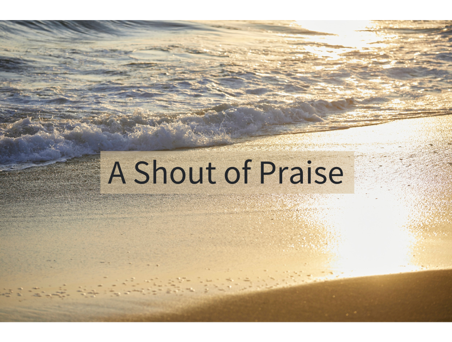 A Shout of Praise