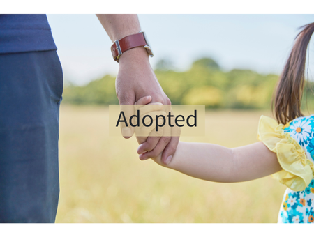Adopted