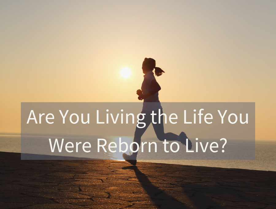 Are You Living the Life You Were Reborn to Live? – FaithGateway