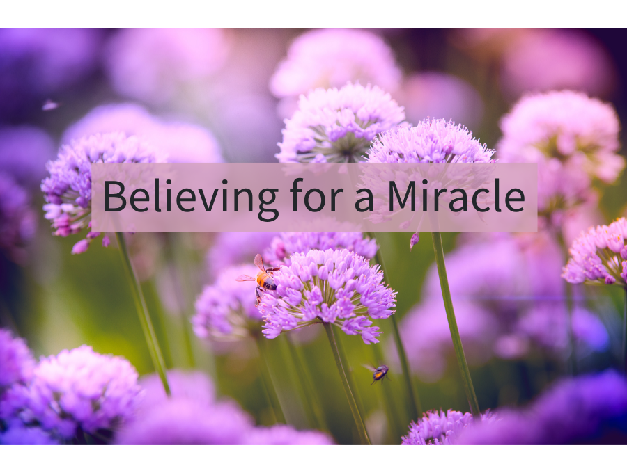 Believing for a Miracle