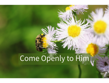 Come Openly to Him