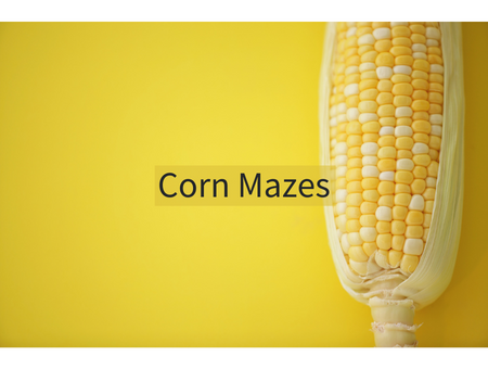Corn Mazes
