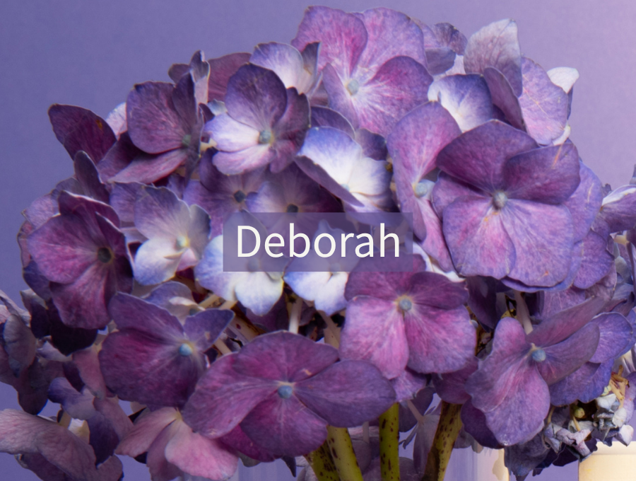 Women of the Bible Speak: Deborah