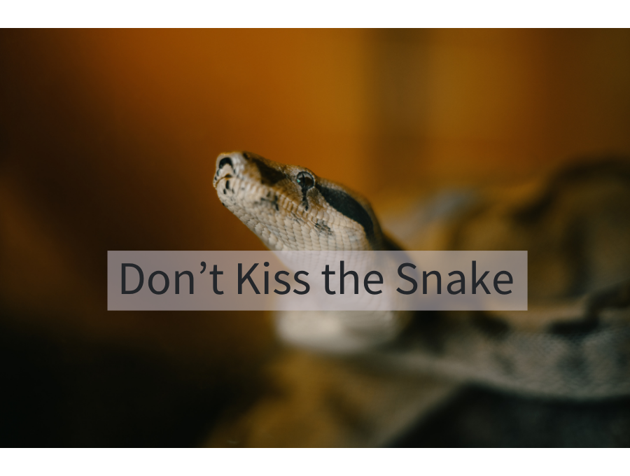 Don’t Kiss the Snake