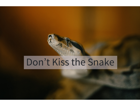 Don’t Kiss the Snake