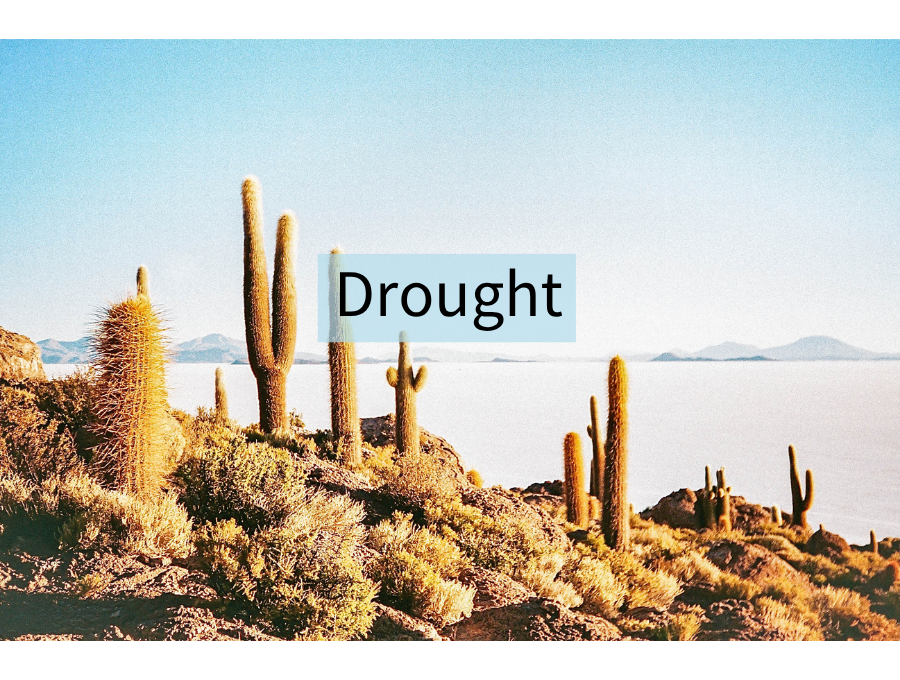 Drought