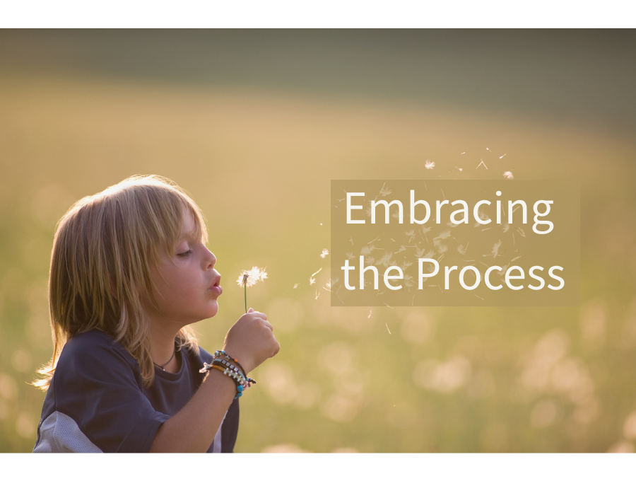 Embrace The Process Embracing the Process โ FaithGateway