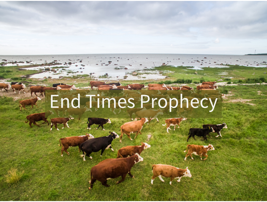 End Times Prophecy