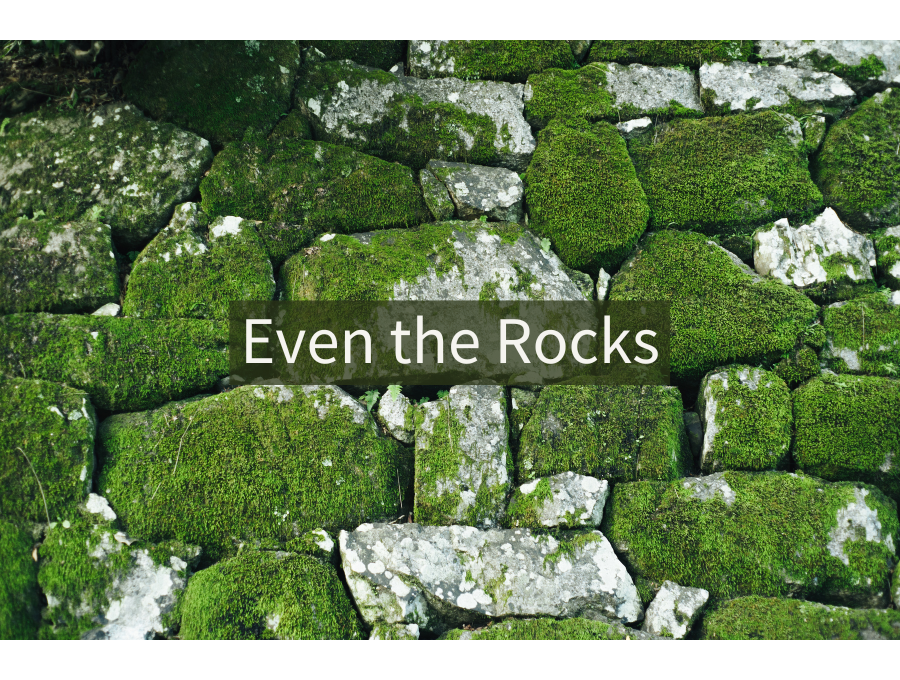 Even the Rocks