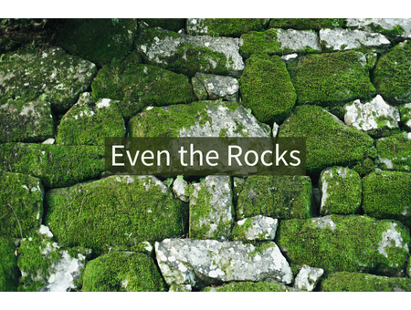 Even the Rocks