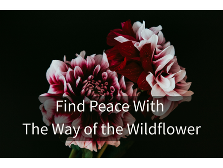 Find Peace With The Way of the Wildflower