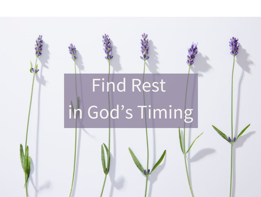 Find Rest in God’s Timing