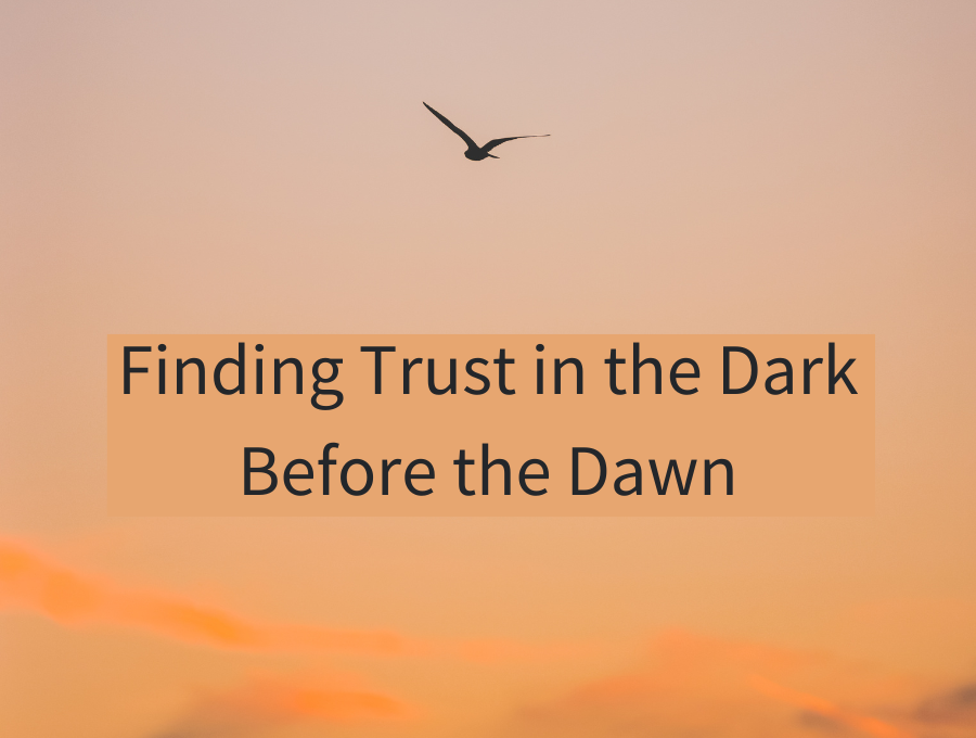 Finding Trust in the Dark Before the Dawn