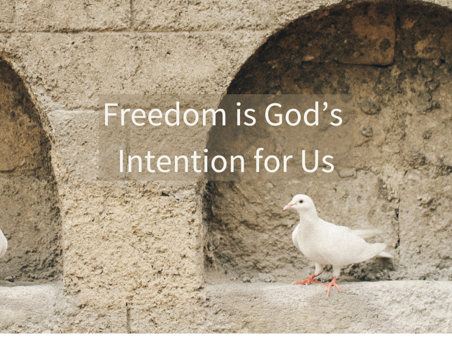 Freedom is God’s Intention for Us
