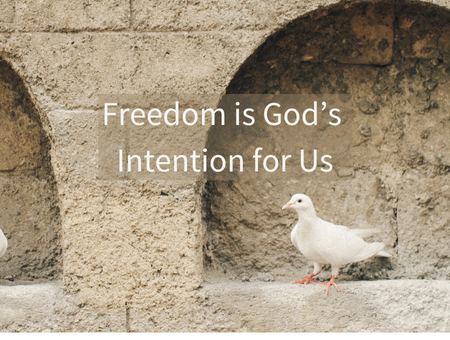 Freedom is God’s Intention for Us