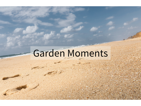 Garden Moments