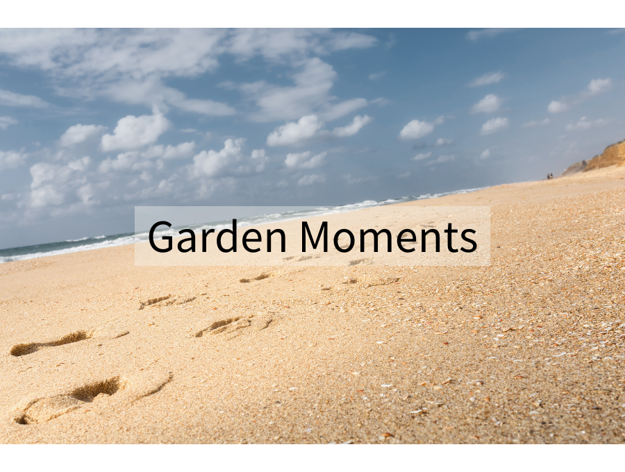 Garden Moments