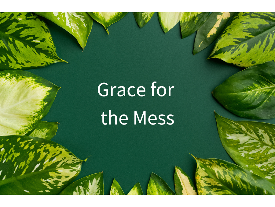 Faith Mess Grace for the Mess – FaithGateway