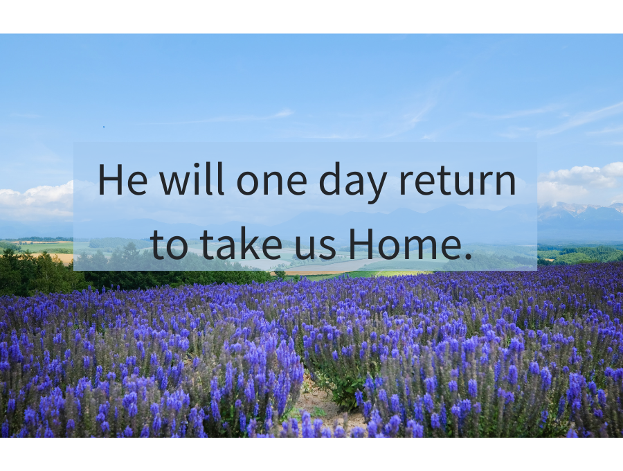 The Promise of Heaven