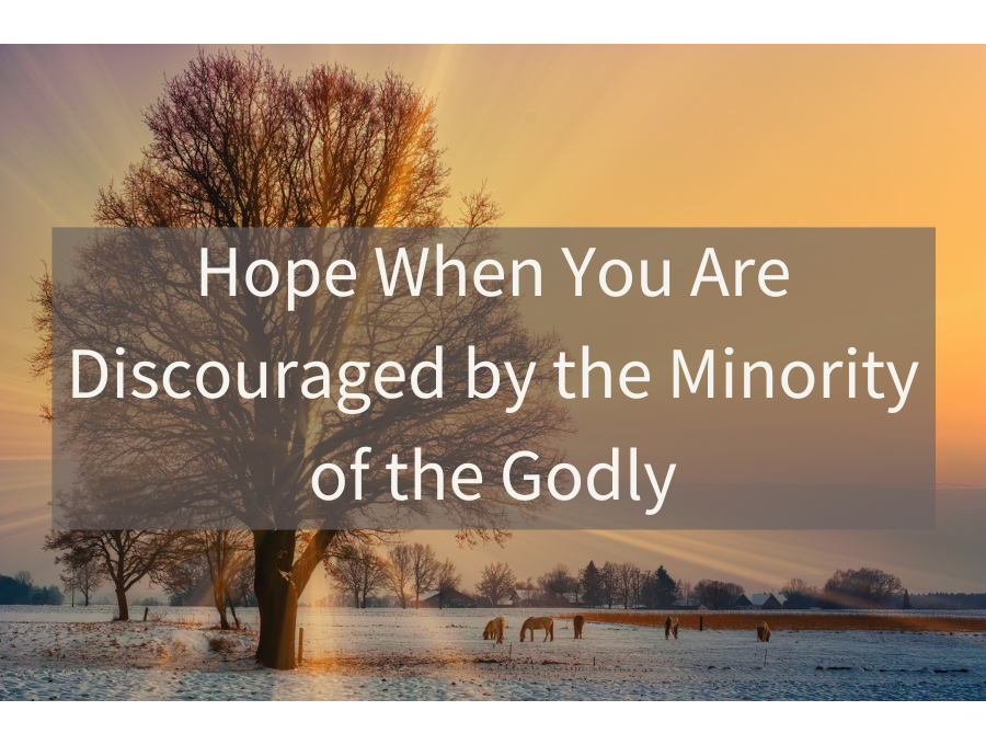 Hope When You Are Discouraged by the Minority of the Godly