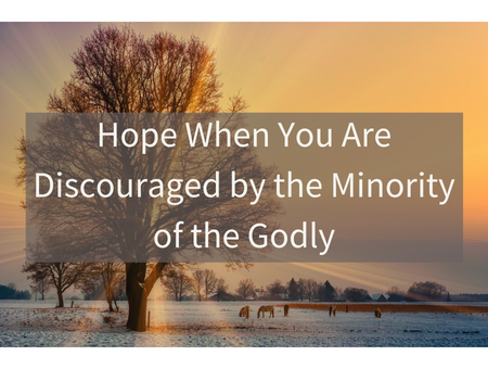 Hope When You Are Discouraged by the Minority of the Godly