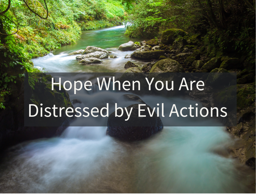 Hope When You Are Distressed by Evil Actions – FaithGateway