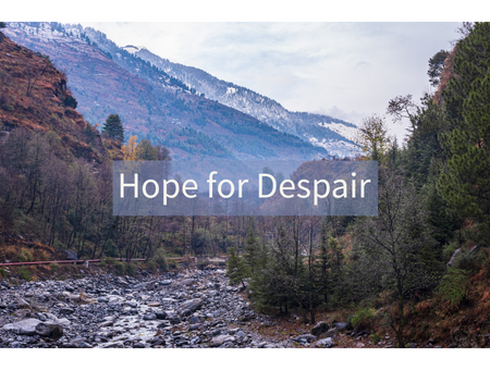 Hope for Despair