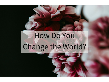 How Do You Change the World?
