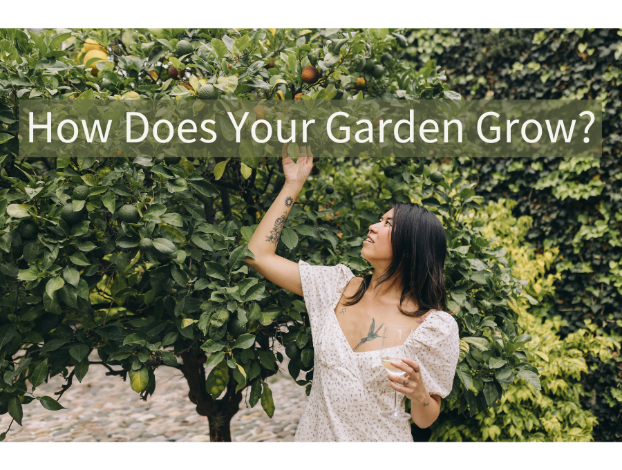 How Does Your Garden Grow?