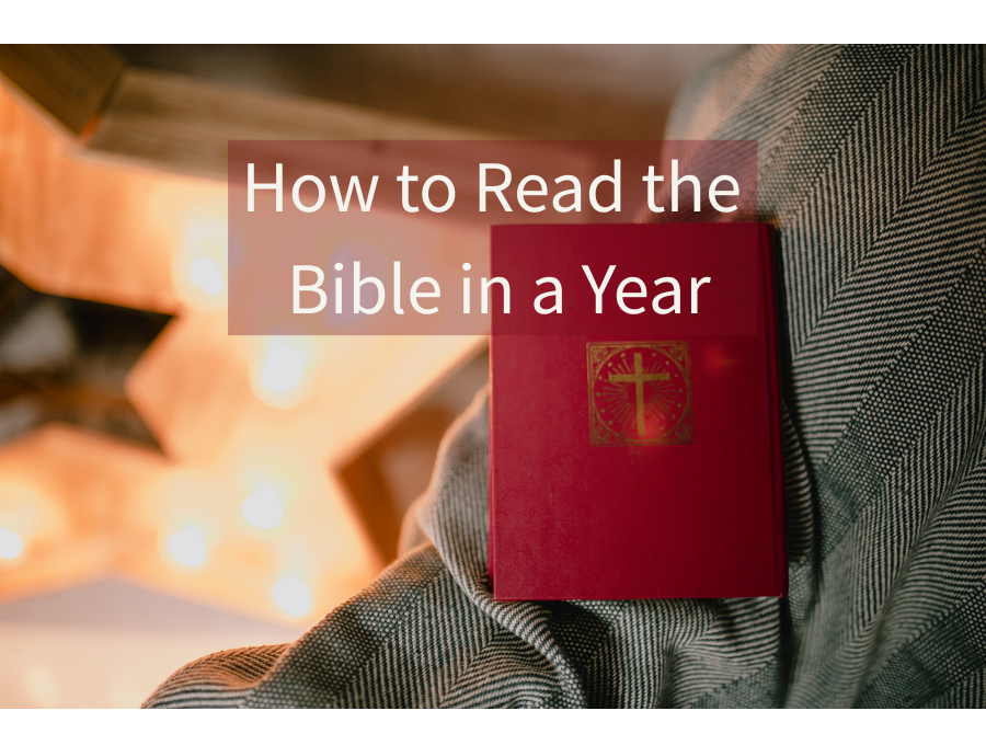 How to Read the Bible in a Year