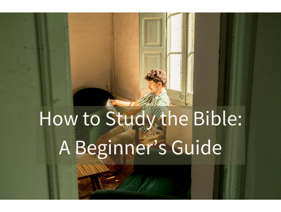 How to Study the Bible: A Beginner’s Guide