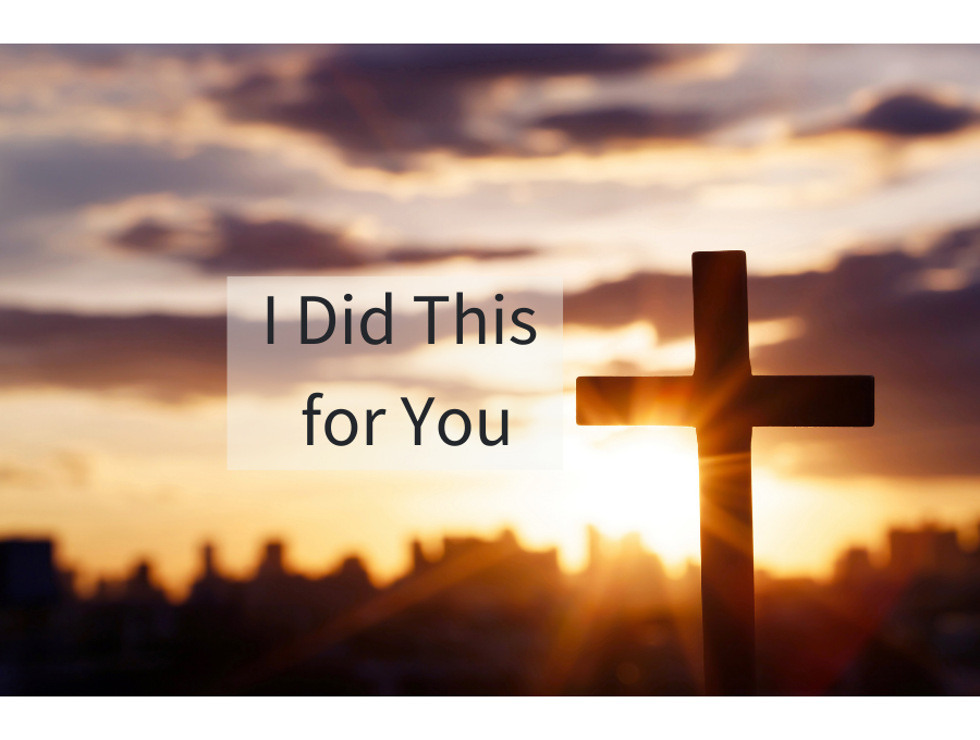 I Did This for You
