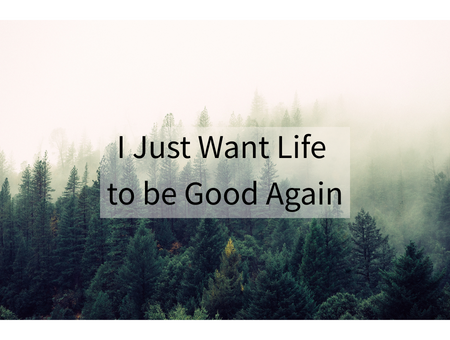 I Just Want Life to be Good Again