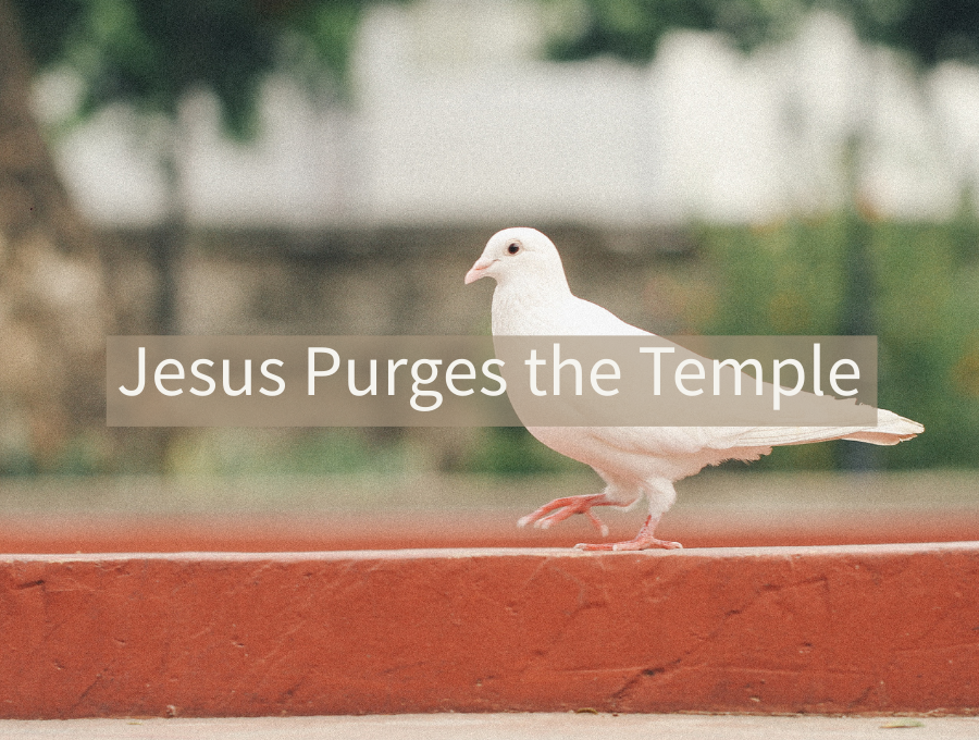 Jesus Purges the Temple