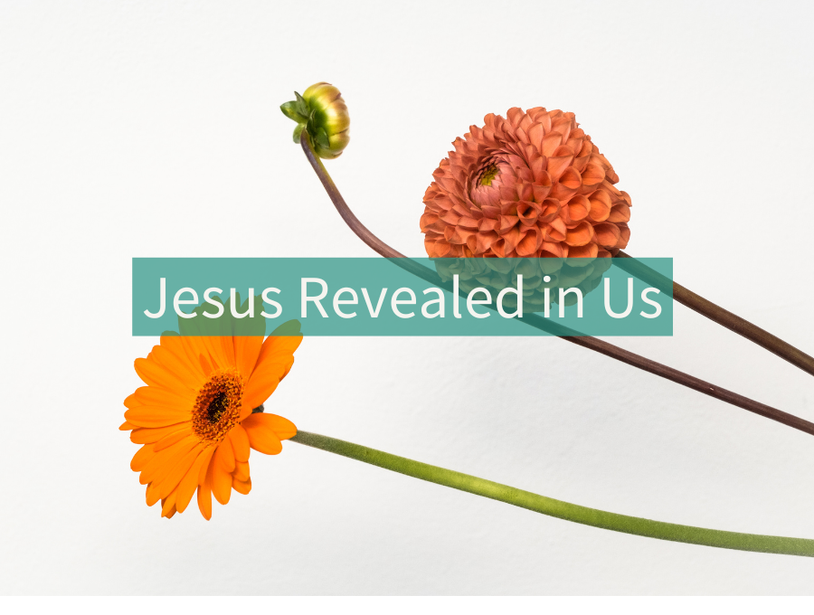 Jesus Revealed in Us