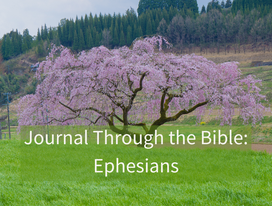 Journal Through the Bible: Ephesians