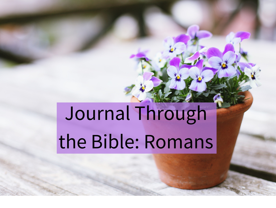 Journal Through the Bible: Romans