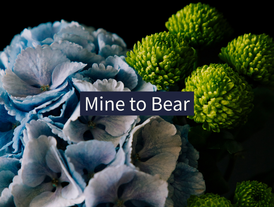 Mine to Bear